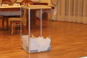 Наблюдатели от МПА СНГ завершили работу на зарубежных избирательных участках