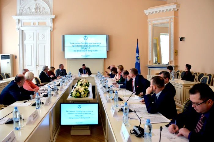 Заседание Экспертного совета при Постоянной комиссии МПА СНГ по правовым вопросам состоялось в Таврическом дворце