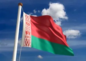 Выборы в Беларуси: Наблюдатели МПА СНГ в Бресте проинспектировали работу трёх окружных избирательных комиссий