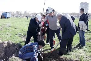 Tree-planting initiatives go on in Kyrgyzstan