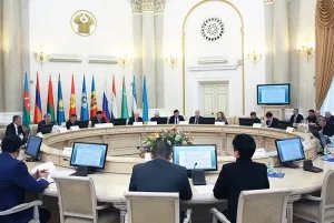 Permanent representatives of the CIS member nations summarized results of their work in 2016