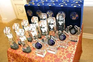 Commonwealth Award for Achievements in the Field of Quality of Products and Services presented in the CIS Executive Committee